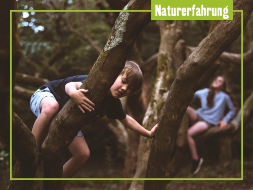 Naturerfahrungsräume in Berlin