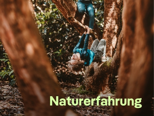 Naturerfahrungsräume in Berlin