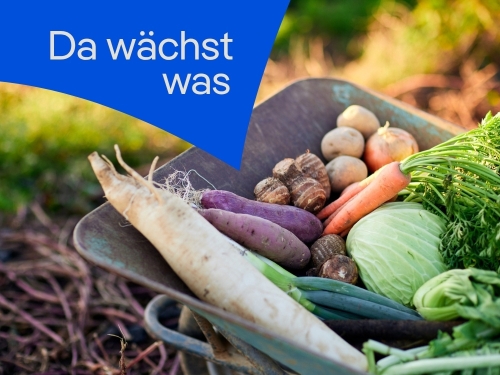 Landwirtschaft und ihre Auswirkungen