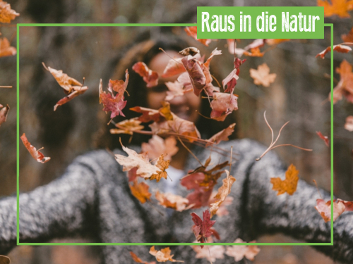 11 tolle Ausflugsziele für den Herbst | Umweltkalender Berlin