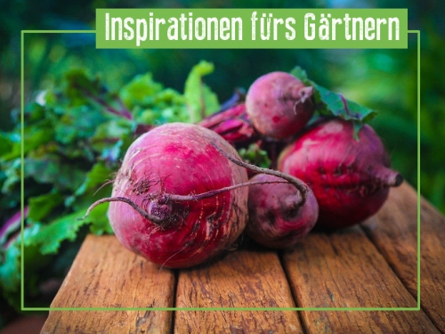 Ab auf den Balkon und in den Garten!