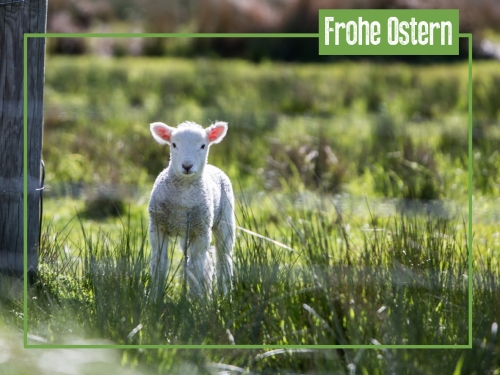 Unsere Tipps für Ostern in Berlin