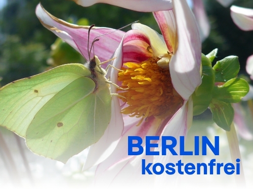 Gutes muss nicht teuer sein