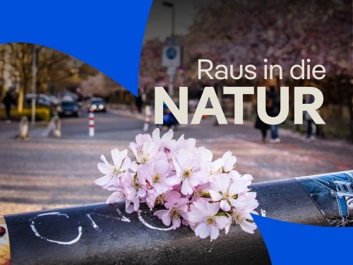 12 tolle Ausflugsziele für den Frühling