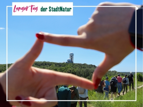 Unsere Top 12 zum Langen Tag der StadtNatur
