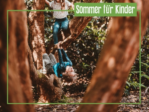 Heiß begehrt: Sommerferien in Berlin