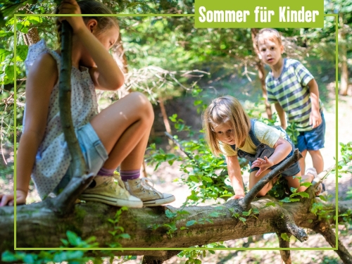 Heiß begehrt: Sommerferien in Berlin