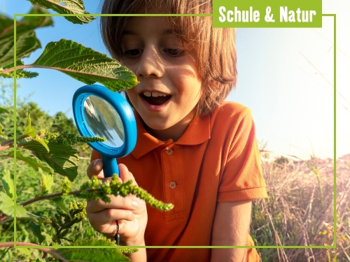 Schuljahr 2025/26: unsere Tipps für erlebnisreichen Unterricht