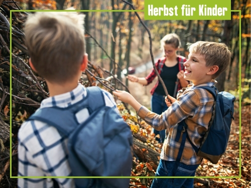 Heiß begehrt: Herbstferien in Berlins Stadtnatur