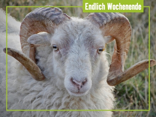 Unsere Tipps zum Wochenende 30. August bis 01. September