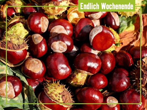Unsere Tipps zum Wochenende 4. bis 6. Oktober