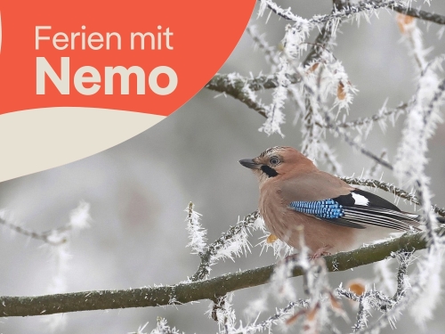 Winter-Ferienprogramm für Hortgruppen