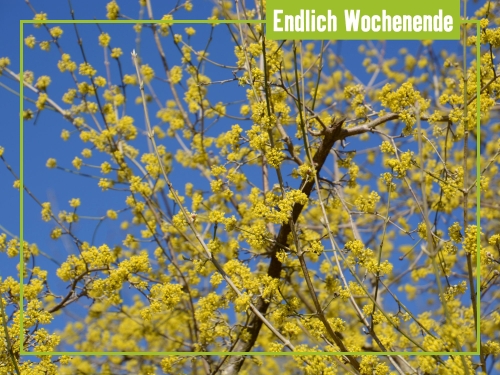 Unsere Tipps zum Wochenende 21. bis 23. März