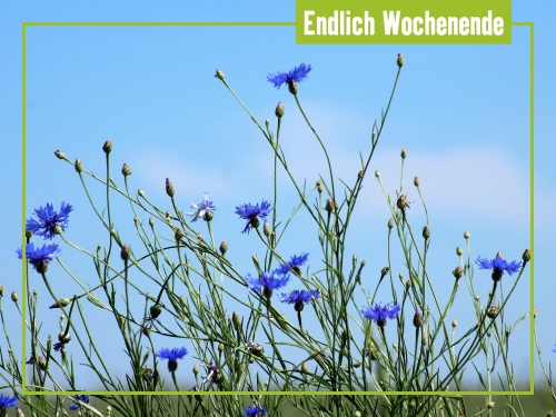 Unsere Tipps zum Wochenende 27. bis 29. Juni