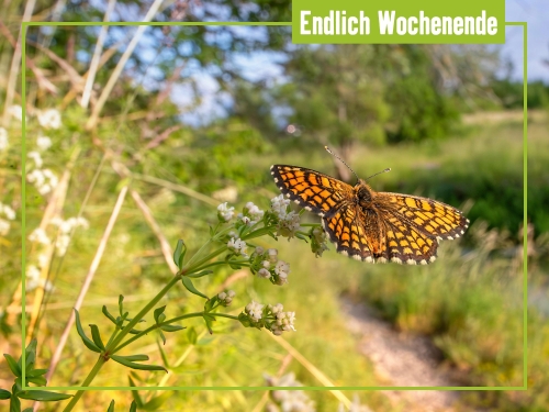 Unsere Tipps zum Wochenende 4. bis 6. Juli