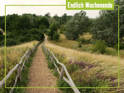 Unsere Tipps zum Wochenende 25. bis 27. Juli