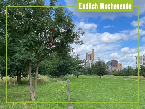 Unsere Tipps zum Wochenende 01. bis 03. August