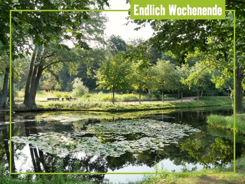 Unsere Tipps zum Wochenende 22. bis 24. August