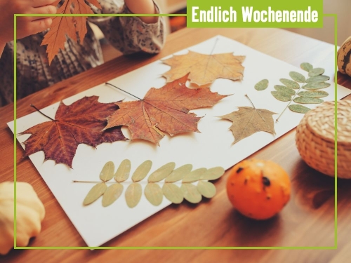 Unsere Tipps zum Wochenende 21. bis 23. November