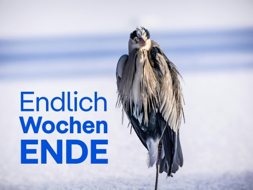 Unsere Tipps zum Wochenende 23.&nbsp;bis&nbsp;25.&nbsp;Januar