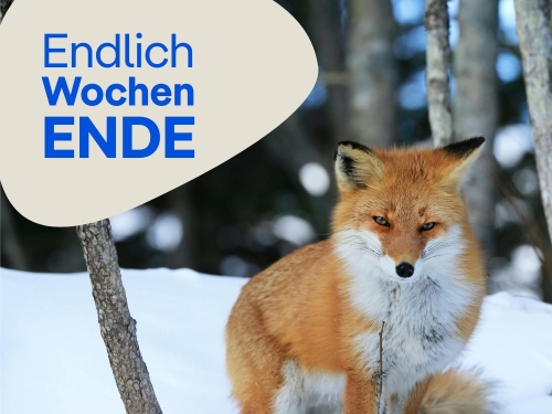 Unsere Tipps zum Wochenende 6.&nbsp;bis&nbsp;8.&nbsp;Februar