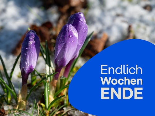 Unsere Tipps zum Wochenende 27.&nbsp;Februar bis&nbsp;1.&nbsp;März