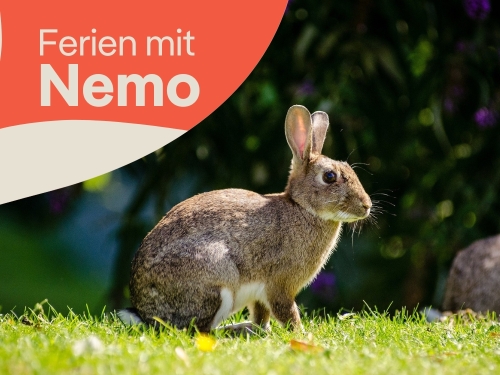 Oster-Ferienprogramm für Hortgruppen