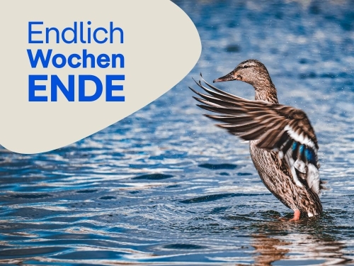 Unsere Tipps zum Wochenende 20.&nbsp;bis&nbsp;22.&nbsp;März