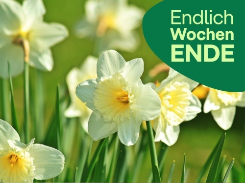 Unsere Tipps zum Wochenende 24.&nbsp;bis&nbsp;26.&nbsp;April