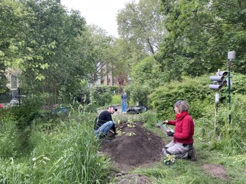 Stadtnaturgarten sucht neue Mitgestalter*innen!