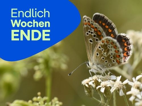 Unsere Tipps zum Wochenende 24.&nbsp;bis&nbsp;26.&nbsp;Juli