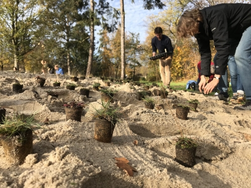 Pflege von Biodiversitätsflächen