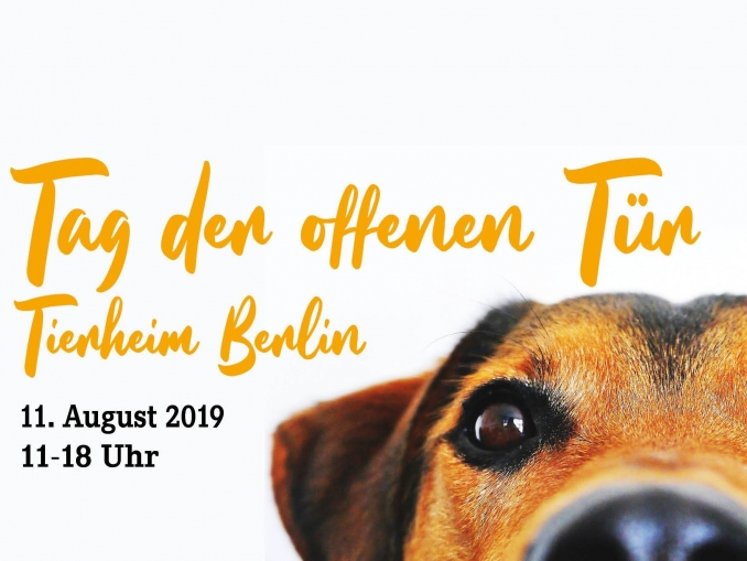 Tag Der Offenen Tur Im Tierheim Berlin 11 08 2019 11 00 18 00 Uhr