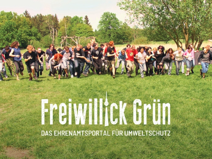 Freiwillickgruen.de